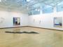 Motion/Less - Installation View 3