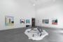 Zsofia Schweger - Sandorfalva, Hungary #18, installation view (1), Bloomberg New Contemporaries, Liverpool, 2016